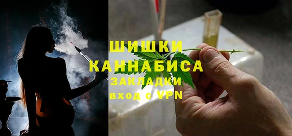 ГАЛЛЮЦИНОГЕННЫЕ ГРИБЫ Снежногорск