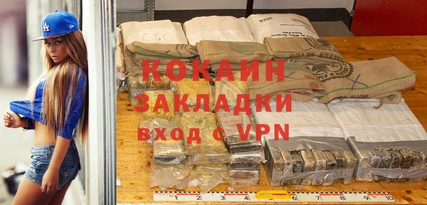 ГАЛЛЮЦИНОГЕННЫЕ ГРИБЫ Снежногорск