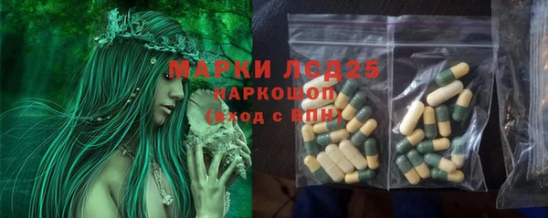 дживик Снежинск