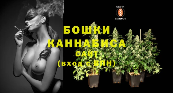 ГАЛЛЮЦИНОГЕННЫЕ ГРИБЫ Снежногорск
