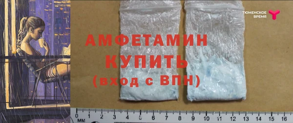 гидра Сосновый Бор