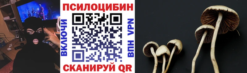 Галлюциногенные грибы прущие грибы  Купить закладки  Ленинск 